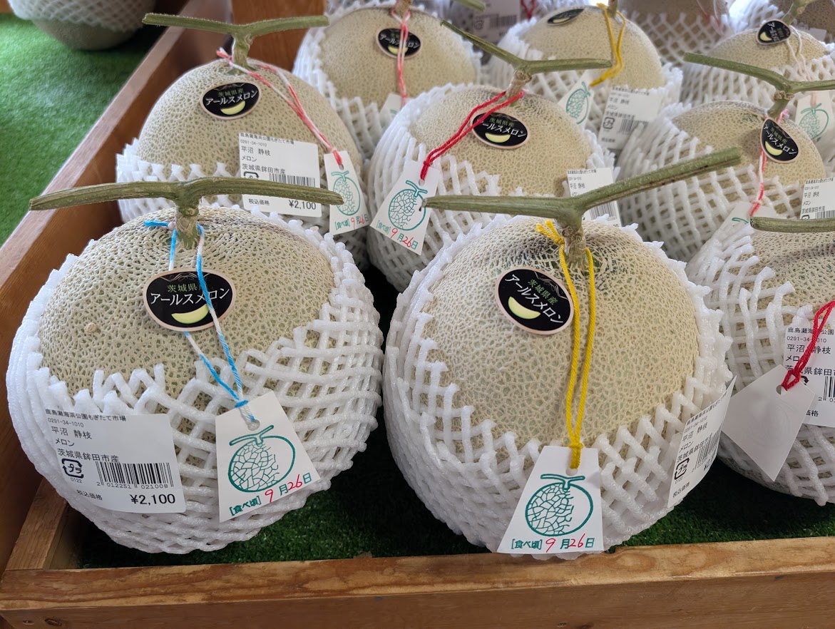 売り場に並ぶメロン