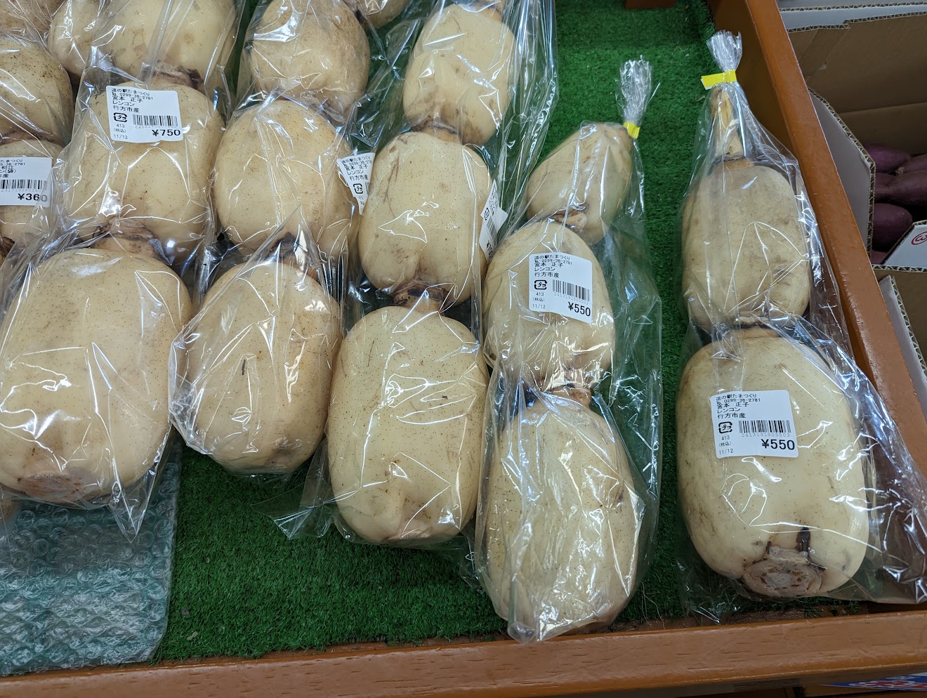 行方市産のレンコン（2022年11月撮影）